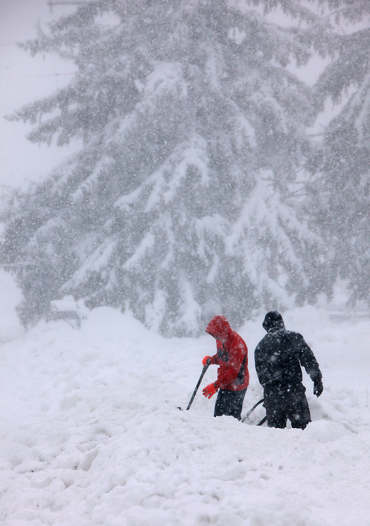 Scene from December 2012 blizzard